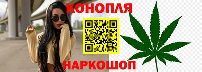 a pvp Бийск