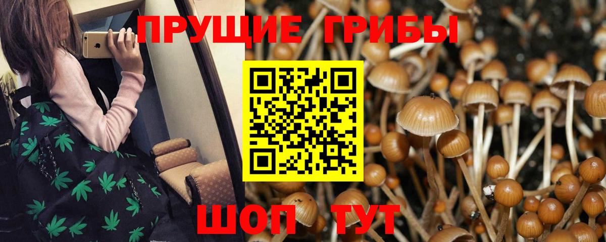 Псилоцибиновые грибы мицелий  Вход с VPN  где найти наркотики  Клин 
