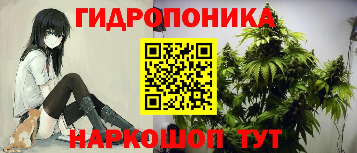 Шишки марихуана тримм  Вход с VPN  Канабис White Widow  Клин  Шишки марихуана Bruce Banner 